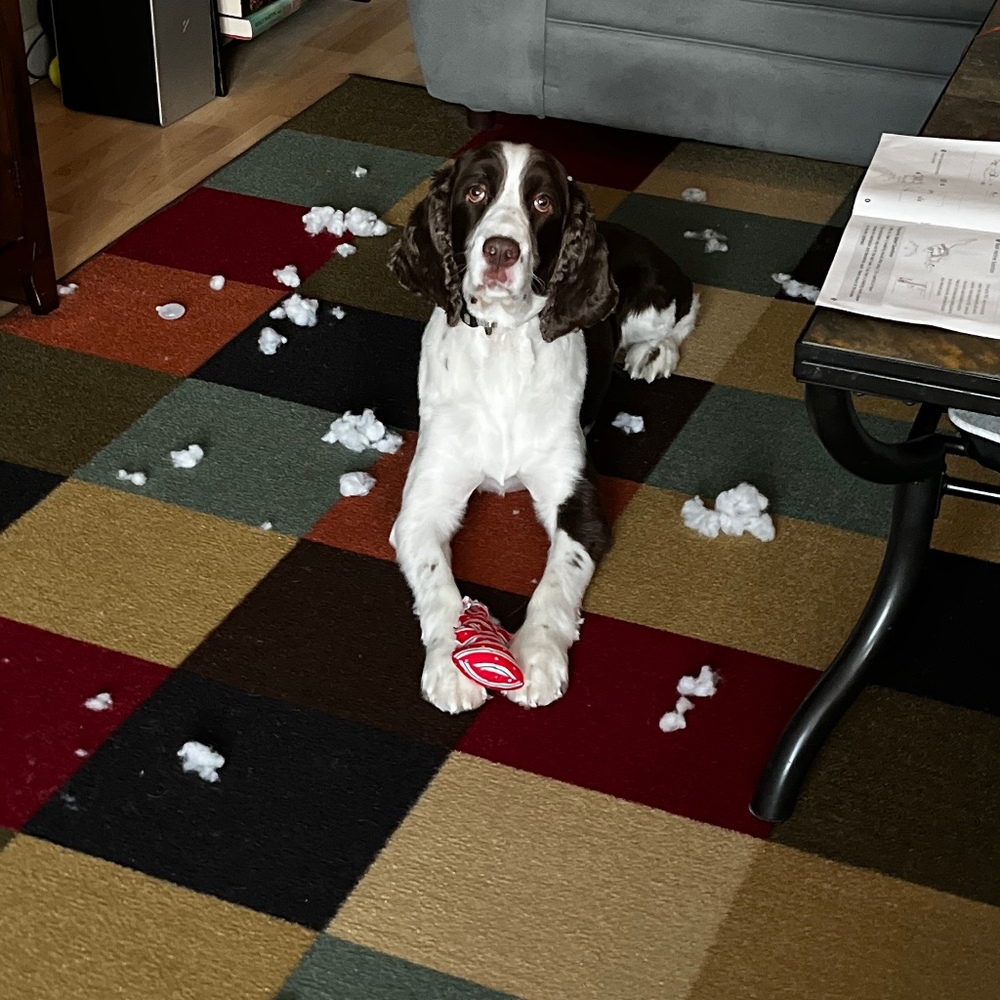 Meet your Posher, John